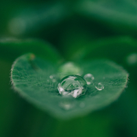 Poetry Online